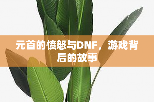 元首的愤怒与DNF，游戏背后的故事