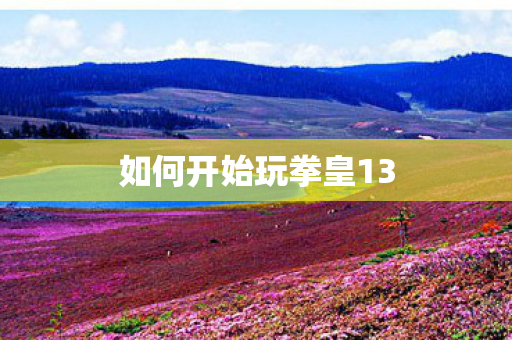 如何开始玩拳皇13 如何开始玩拳皇13