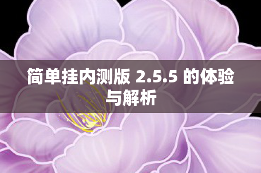 简单挂内测版 2.5.5 的体验与解析