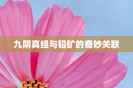 九阴真经与铅矿的奇妙关联