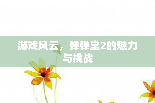 游戏风云，弹弹堂2的魅力与挑战