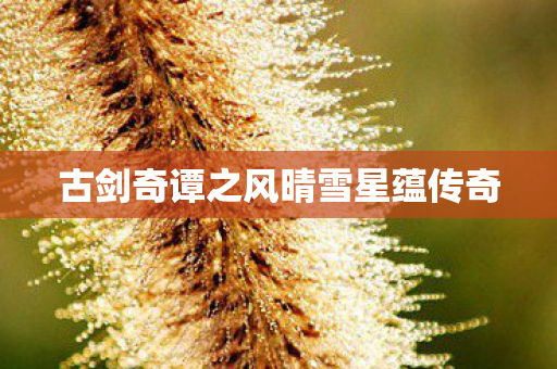 古剑奇谭之风晴雪星蕴传奇 古剑奇谭之风晴雪星蕴传奇