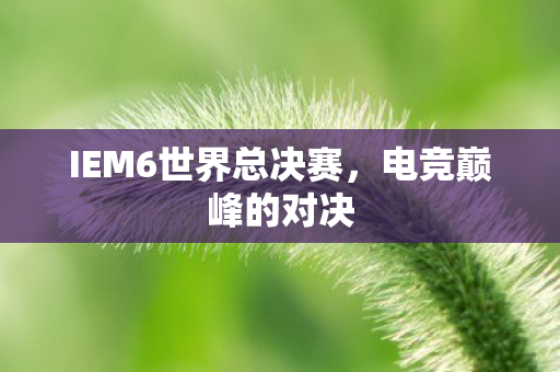IEM6世界总决赛，电竞巅峰的对决