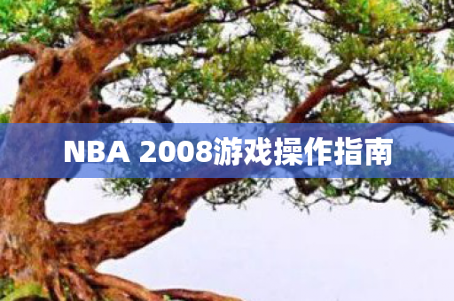 NBA 2008游戏操作指南