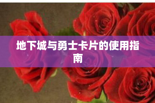地下城与勇士卡片的使用指南 地下城与勇士卡片的使用指南