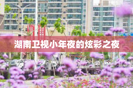 湖南卫视小年夜的炫彩之夜 湖南卫视小年夜的炫彩之夜