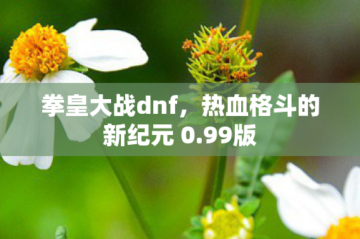拳皇大战dnf，热血格斗的新纪元 0.99版