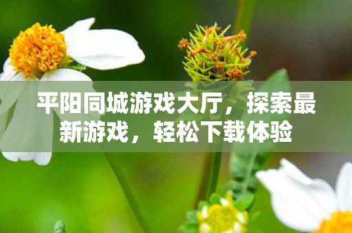 平阳同城游戏大厅，探索最新游戏，轻松下载体验