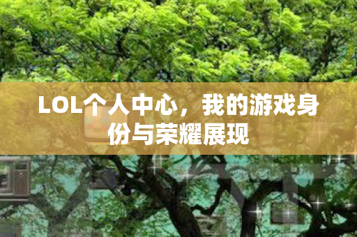 LOL个人中心，我的游戏身份与荣耀展现