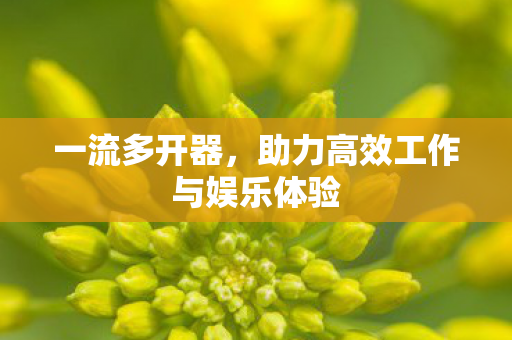 一流多开器,助力高效工作与娱乐体验 一流多开器,助力高效工作与娱乐体验
