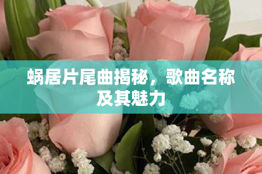 蜗居片尾曲揭秘，歌曲名称及其魅力