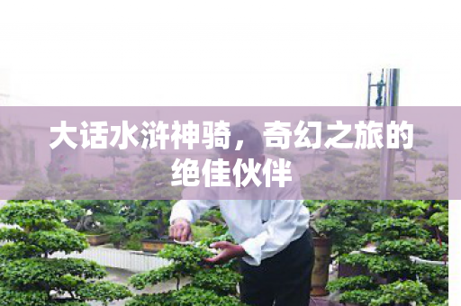 大话水浒神骑，奇幻之旅的绝佳伙伴