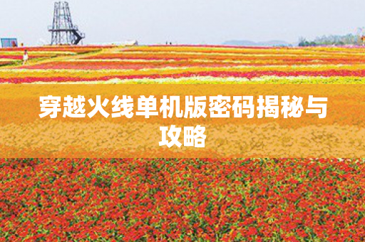 穿越火线单机版密码揭秘与攻略 穿越火线单机版密码揭秘与攻略