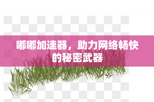 嘟嘟加速器,助力网络畅快的秘密武器 嘟嘟加速器,助力网络畅快的秘密武器