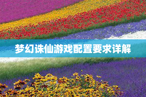 梦幻诛仙游戏配置要求详解