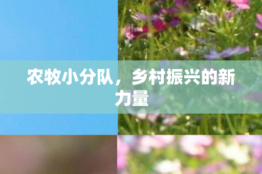 农牧小分队,乡村振兴的新力量 农牧小分队,乡村振兴的新力量