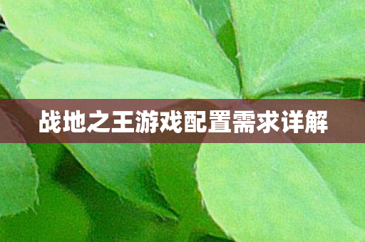 战地之王游戏配置需求详解