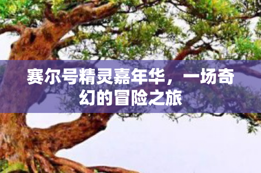 赛尔号精灵嘉年华,一场奇幻的冒险之旅 赛尔号精灵嘉年华,一场奇幻的冒险之旅