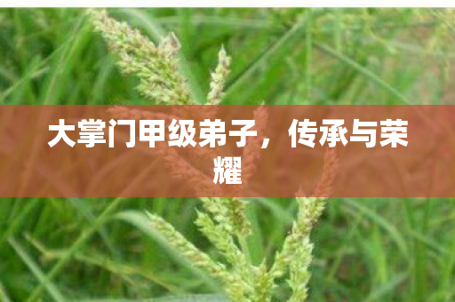 大掌门甲级弟子,传承与荣耀 大掌门甲级弟子,传承与荣耀