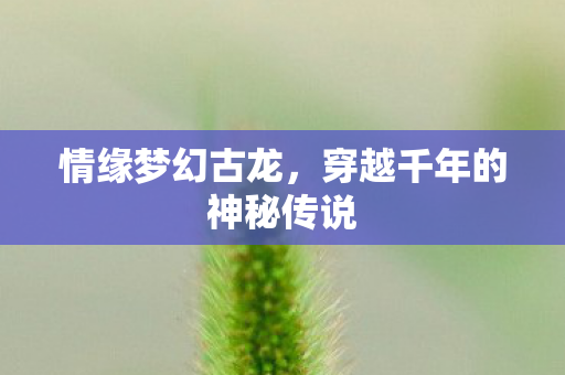 情缘梦幻古龙，穿越千年的神秘传说