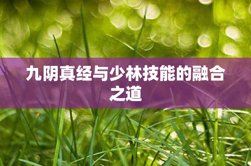 九阴真经与少林技能的融合之道