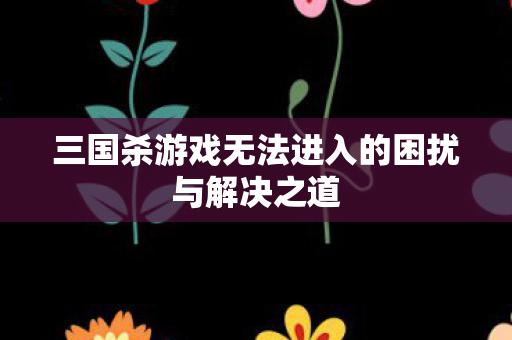 三国杀游戏无法进入的困扰与解决之道