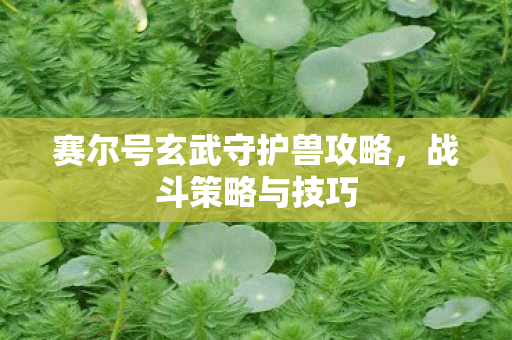 赛尔号玄武守护兽攻略,战斗策略与技巧 赛尔号玄武守护兽攻略,战斗策略与技巧