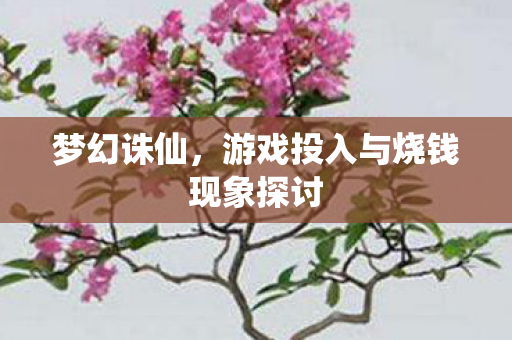 梦幻诛仙，游戏投入与烧钱现象探讨