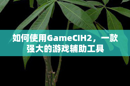 如何使用GameCIH2,一款强大的游戏辅助工具 如何使用GameCIH2,一款强大的游戏辅助工具