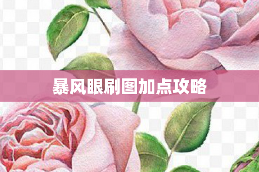 暴风眼刷图加点攻略