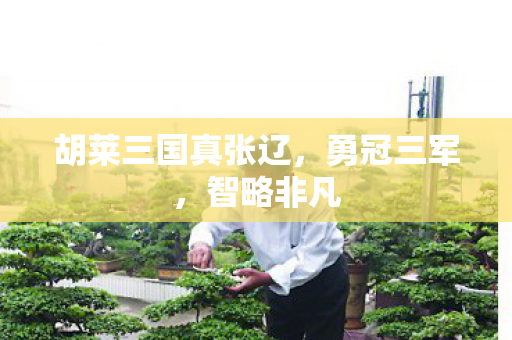 胡莱三国真张辽，勇冠三军，智略非凡