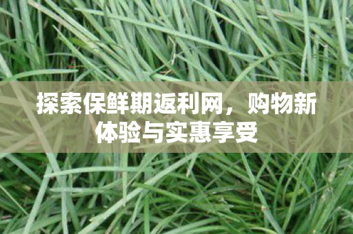 探索保鲜期返利网，购物新体验与实惠享受