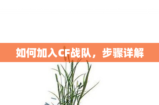 如何加入CF战队，步骤详解