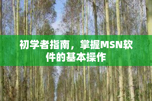 初学者指南,掌握MSN软件的基本操作 初学者指南,掌握MSN软件的基本操作