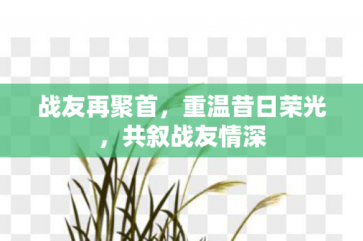 战友再聚首，重温昔日荣光，共叙战友情深