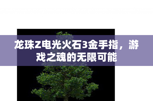 龙珠Z电光火石3金手指，游戏之魂的无限可能
