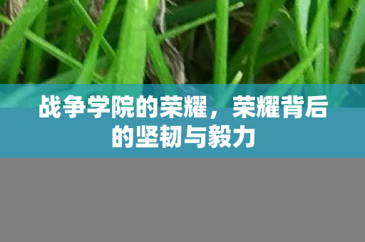 战争学院的荣耀,荣耀背后的坚韧与毅力 战争学院的荣耀,荣耀背后的坚韧与毅力