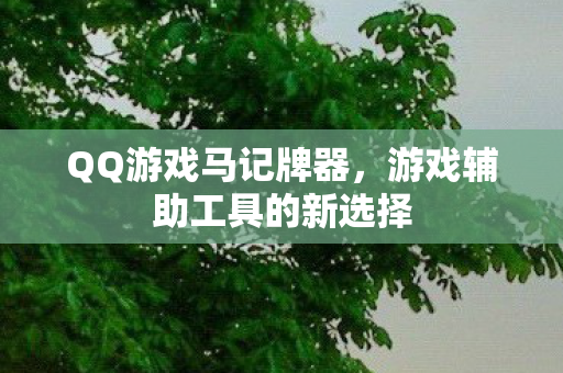 QQ游戏马记牌器，游戏辅助工具的新选择