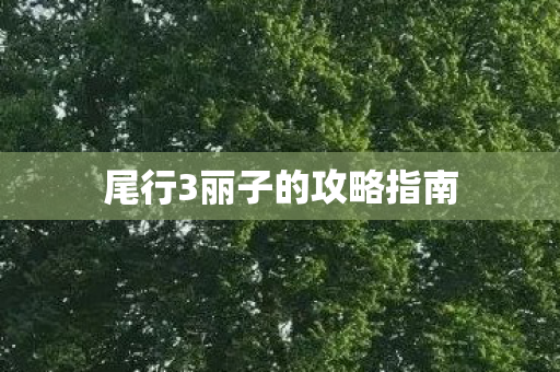 尾行3丽子的攻略指南 尾行3丽子的攻略指南
