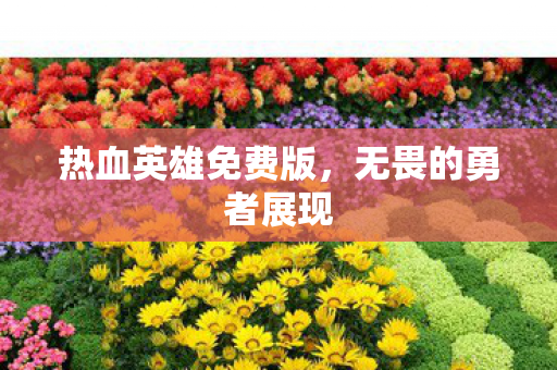 热血英雄免费版,无畏的勇者展现 热血英雄免费版,无畏的勇者展现