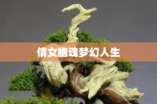 倩女幽魂梦幻人生