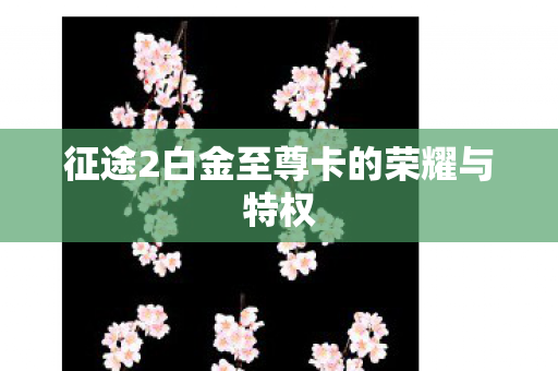 征途2白金至尊卡的荣耀与特权