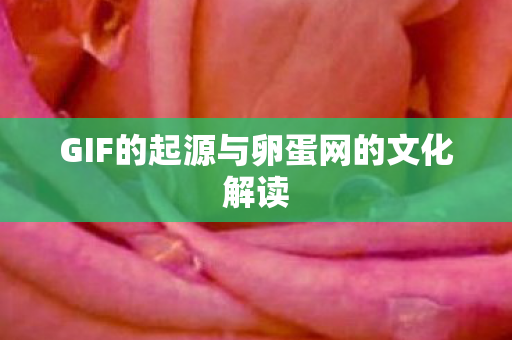 GIF的起源与卵蛋网的文化解读 GIF的起源与卵蛋网的文化解读