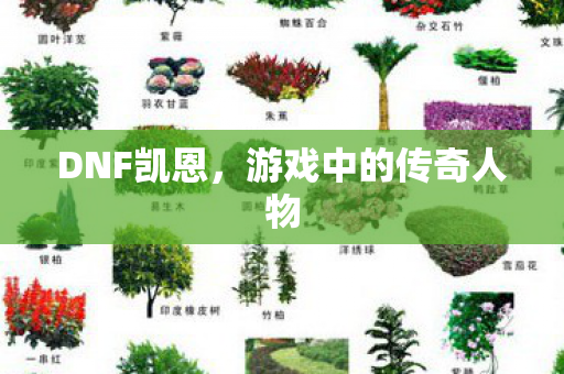 DNF凯恩,游戏中的传奇人物 DNF凯恩,游戏中的传奇人物