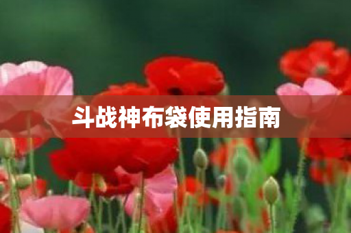 斗战神布袋使用指南