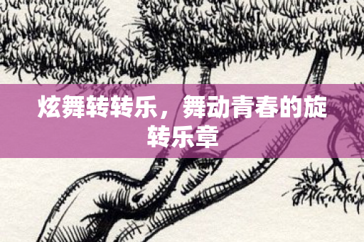 炫舞转转乐，舞动青春的旋转乐章