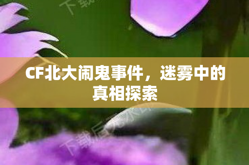 CF北大闹鬼事件，迷雾中的真相探索