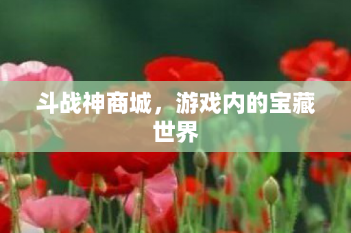 斗战神商城，游戏内的宝藏世界