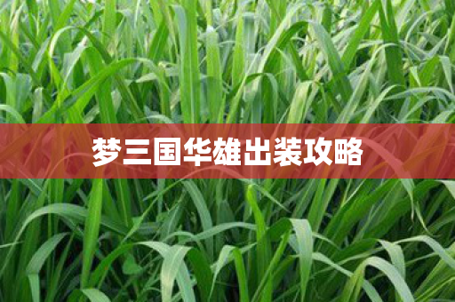 梦三国华雄出装攻略