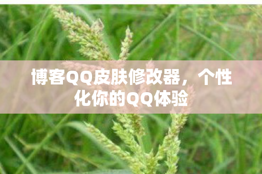 博客QQ皮肤修改器，个性化你的QQ体验